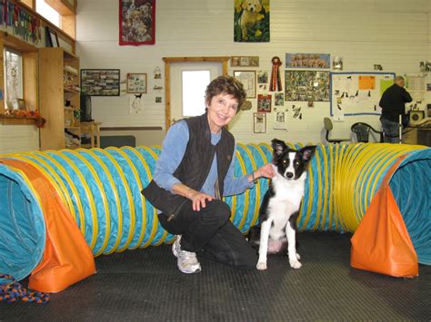 Gallery - Paws-itively Obedient