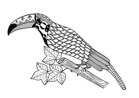 Coloring pages for kids toucan coloring pages. Toucan Coloring Page | FaveCrafts.com