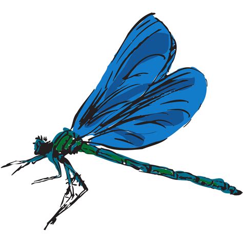 Dragonfly Art Png Svg Clip Art For Web Download Clip Art Png Icon Arts