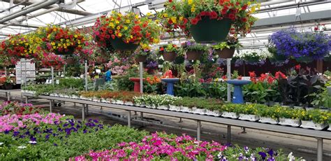 Garden Centers Minneapolis Wagners Greenhouse