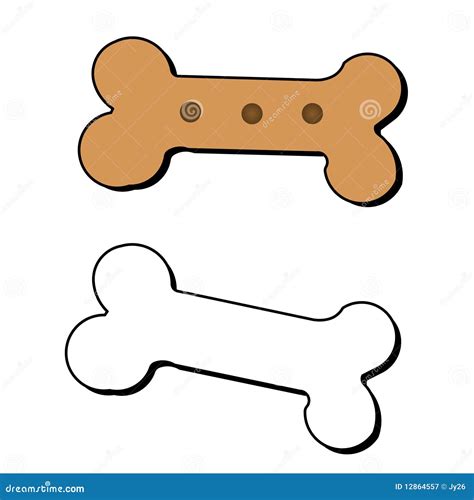 Dog Bone Anatomy Illustration