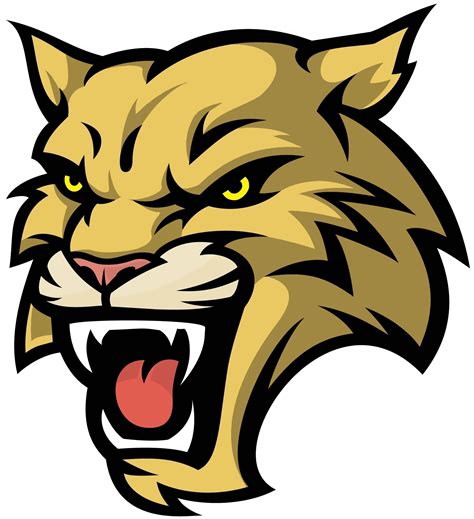 wildcat clip art 10 free Cliparts | Download images on Clipground 2022