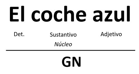 El Grupo Nominal Y El Grupo Preposicional Los Grupos De Palabras