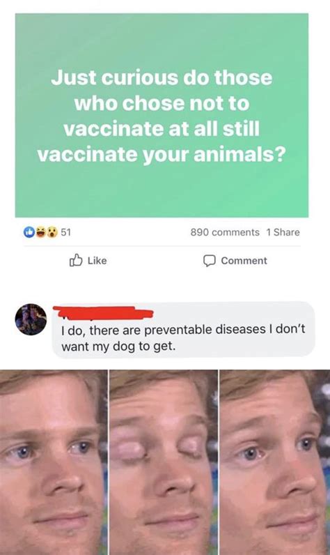 This twitter meme makes the case for acting reasonable, even after you're fully vaccinated. At least they vaccinate their dogs : memes