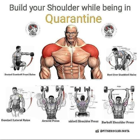 Shoulder Workout Gym Workout Planner Gym Workout Tips Bodyweight