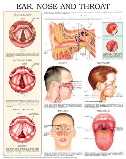 Pin On Ent Ears Nose Throat