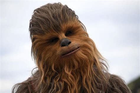 Street Dog Completely Freaks Out When He Bumps Into Chewbacca On The Street