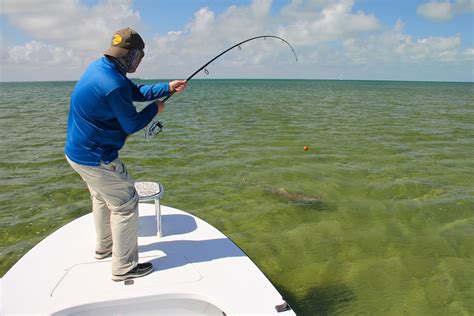 Miami Flats Fishing For Sharks Flats Fishing Guide And Charter