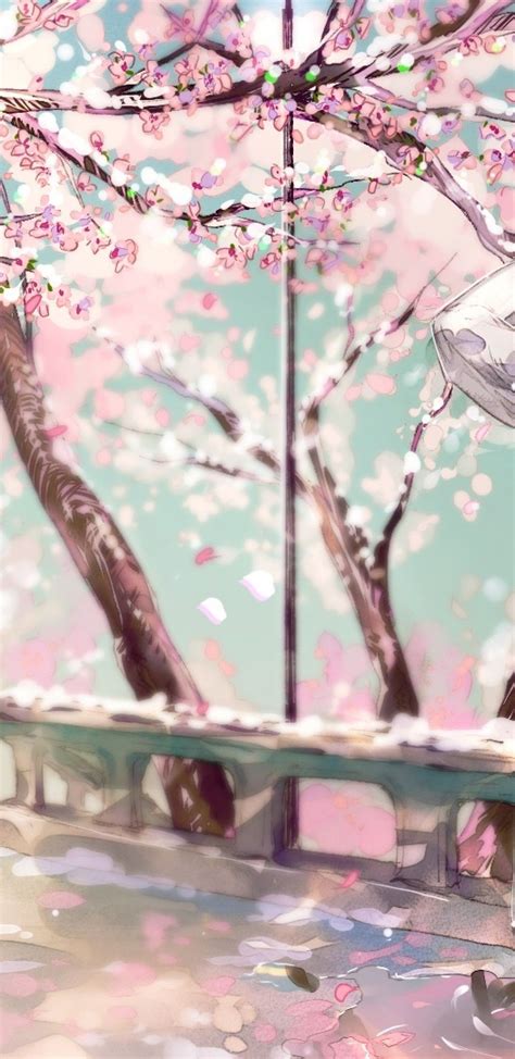 Anime Cherry Blossoms Wallpapers Wallpaper Cave