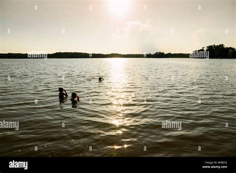 Three Children Swimming In A Lake At Sunset Stock Photo Alamy