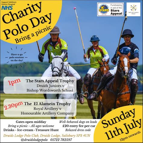 Charity Polo Day 11th July Druids Lodge Polo