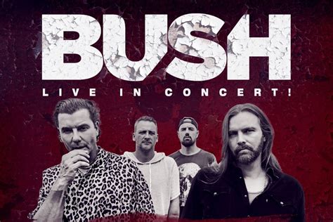 Bush Tour 2023 Tickets And More Vocal Bop