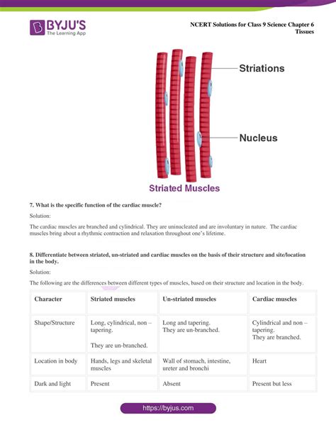 Ncert Solutions For Class 9 Science Chapter 6 Tissues