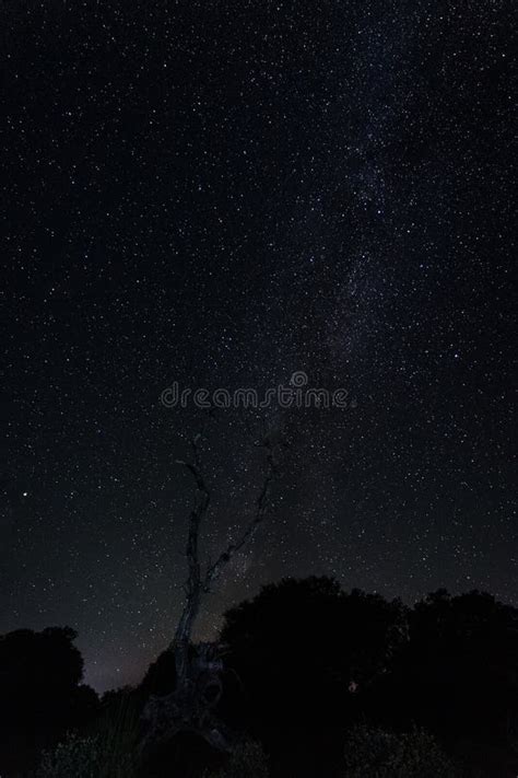 Mesmerizing Starry Sky Over The Country Landscape Stock Photo Image