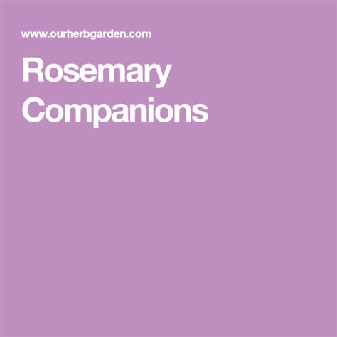 Companion planting is simply the process of planting different plants together. Rosemary Companions | Rosemary, Companion planting, Companion