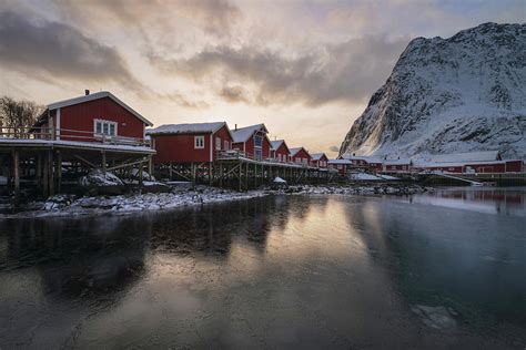 Traditional Red Rorbu Cabins In Reine Photograph By Cody Duncan Fine