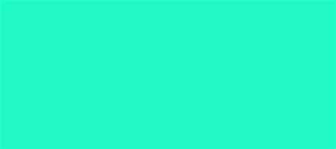 Hex Color 20f8c5 Color Name Bright Turquoise Rgb32248197