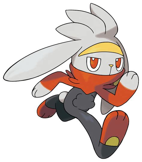 Raboot Pokédex Stats Moves Evolution And Locations Pokémon Database