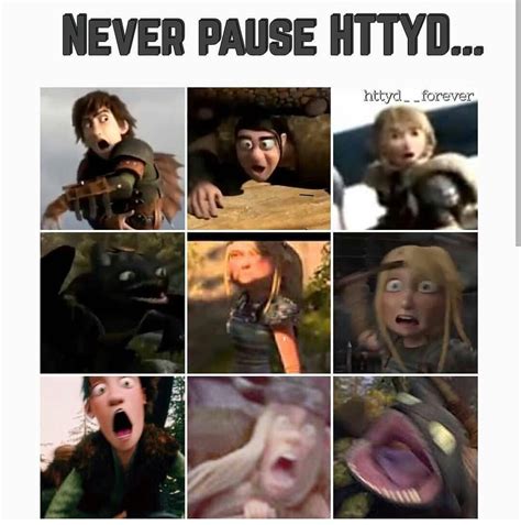 Pin By Achmad Jafarroni On Disney Httyd Funny How To Train Your