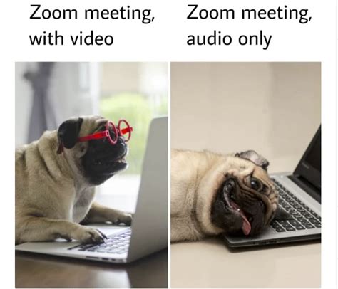 *sweating profusely during meeting, screaming internally as i go through the most important points. Zoom Memes to ease Your Burnout - Dorm Room Movers