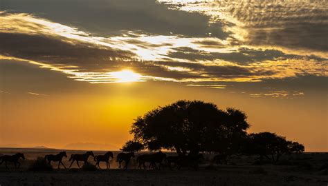 Sehingga dibutuhkan berbagai macam latar belakang untuk menggantikan foto yang telah ada. Kumpulan Foto Keren Buat Wallpaper - Sunset - 1280x731 ...
