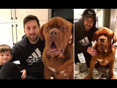 This video belong to this channel. Barcelona star Lionel Messi relaxes at home with his dog ...