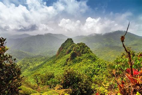 The Best Hikes In Puerto Rico In With Images El Yunque