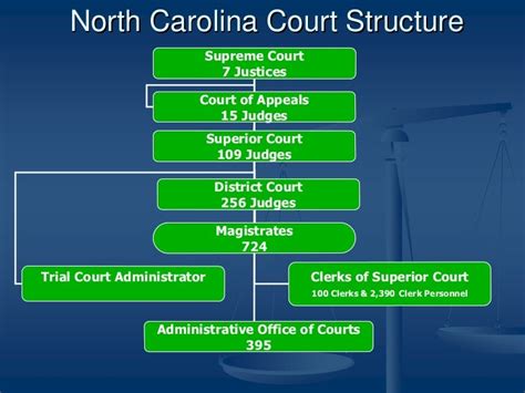 nc court structure youth civics