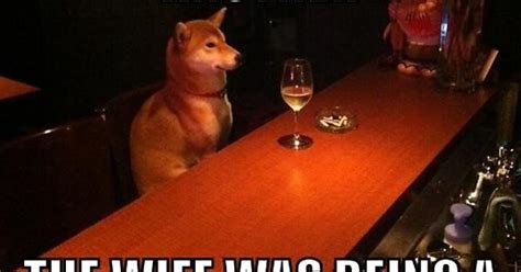 Alcoholic Dog Meme Imgur