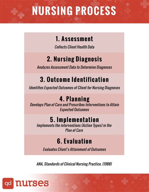 What Are The 5 Stages Of The Nursing Process Phoenixkruwhutchinson