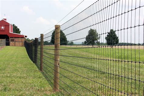 Fixed Knot Fence 8 90 30 28mm Wire And 200m Roll Auscon