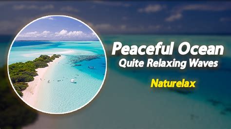 Soft Tropical Beach Relaxing Sunday Peaceful Ocean Sounds And Seagulls