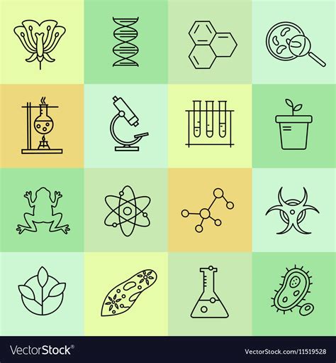 Set Of Modern Linear Icons With Biology Elements Vector Image