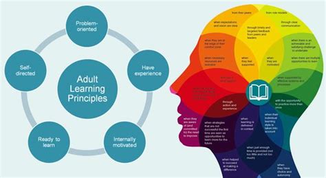 Adult Learningmed Cultures Contextually Rooted And Multi Faceted