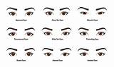 Makeup For Different Eye Shapes Photos