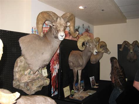 2 there are a wide variety of desserts in western cultures , including cakes , cookies , biscuits , gelatins , pastries , ice creams , pies , puddings , and candies. WESTERN TROPHY BIGHORN JOURNAL: 2011 AZ Desert Bighorn ...