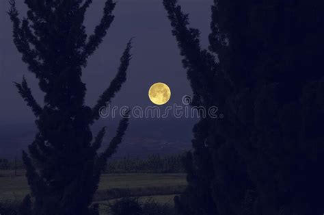 247 Full Moon Over Woods Photos Free And Royalty Free Stock Photos From