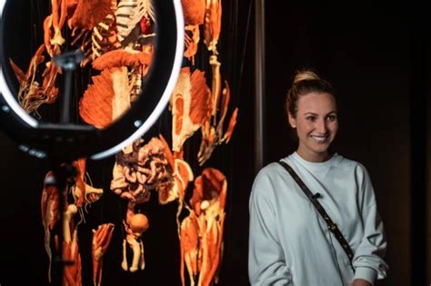Anatomiczna Wystawa Body Worlds Vital We Wrocławiu Już Otwarta •