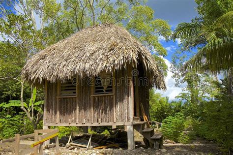 Traditional Hut In Belize Stock Image Image Of Town