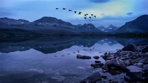 2560x1440 Birds Mountains Stones Evening Lake 1440p