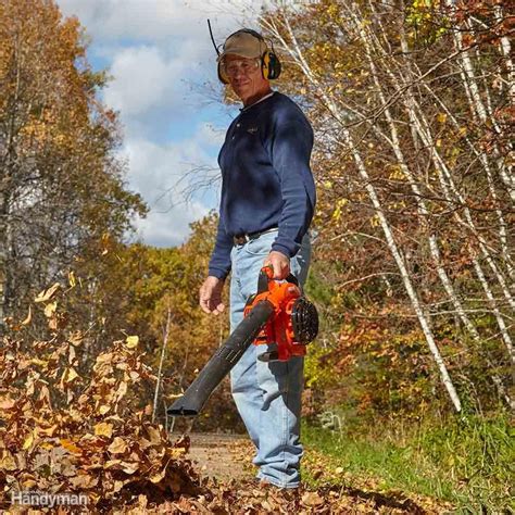 Check spelling or type a new query. Your Guide to the Absolute Best Gas-Powered Leaf Blowers | Family Handyman