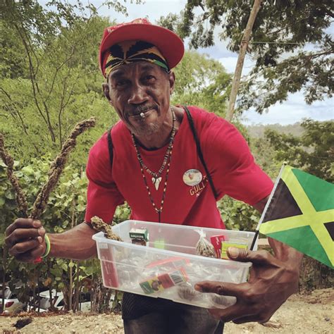 Jamaican Cannabis Rundown Laws And Culture Explained