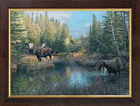 jim kasper open edition framed canvas caldwell creek bull moose wild wings new releases
