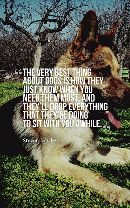 80 Beautiful Dog Quotes For Dog Lovers Planet Of Success