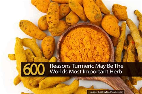 Reasons Turmeric May Be The Worlds Most Important Herb
