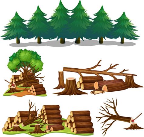 Deforestation Illustrations Royalty Free Vector Graphics And Clip Art