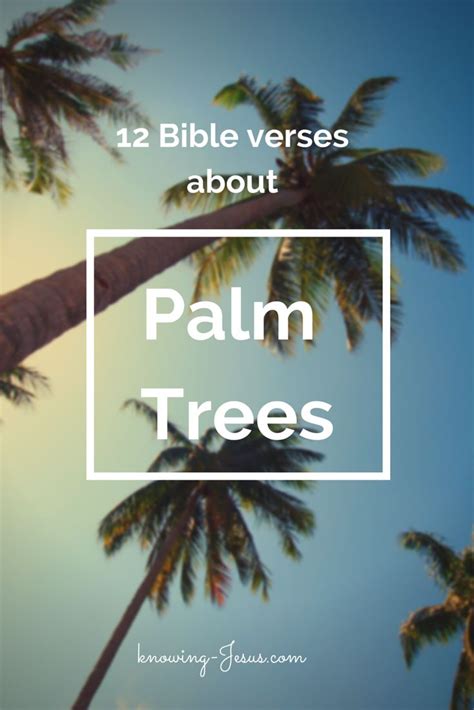 Palm Tree Bible Verses ♥ Christian Inspiration ♥ Pinterest Trees