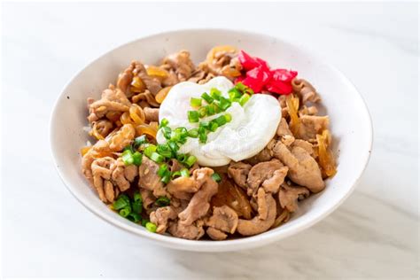 Pork Rice Bowl With Egg Donburi Japanese Food Stock Image Image Of Fresh Plant