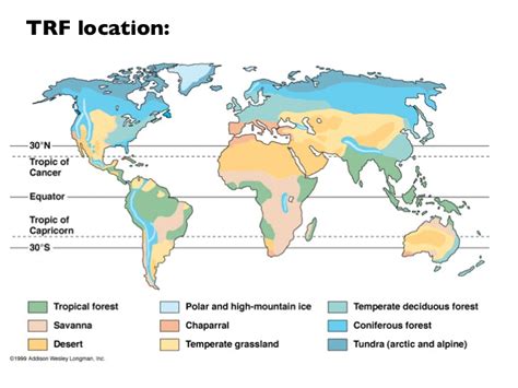 The tropical rainforest is a biome located across the earth on land on and around the equator. Tropical Rainforest intro