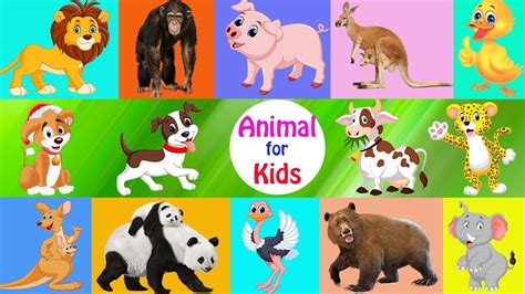 Best Educational Video For Kids Learn Animals Cartoon And Real For